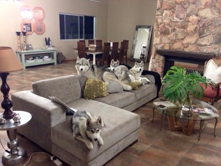 Commercial Property for Sale in Bot River Western Cape